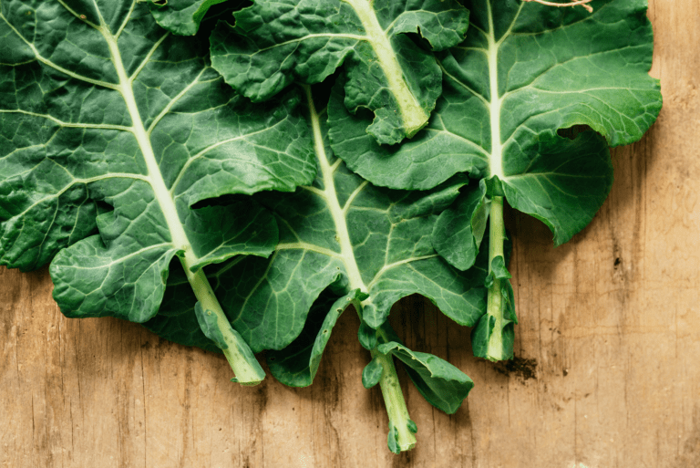 how-to-grow-collard-greens-in-florida-read-gardens